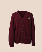 Abercrombie & Fitch cardigan