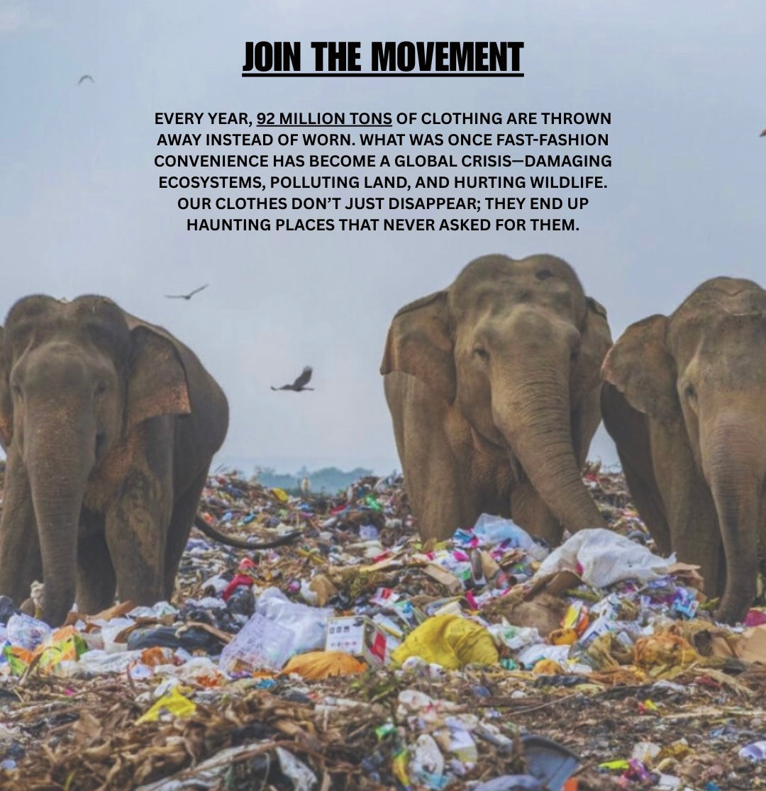 Help us fight overconsumption